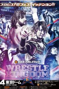 NJPW Wrestle Kingdom 13 - Posters