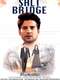 Salt Bridge