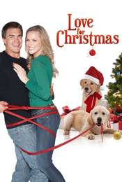 A Golden Christmas 3