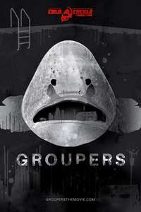 Groupers - Poster
