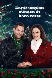 Last Vermont Christmas - Poster