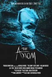 The Axiom