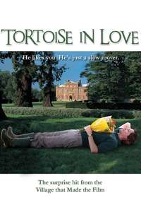 Tortoise in Love - Poster