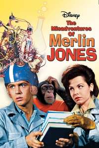The Misadventures of Merlin Jones - Posters