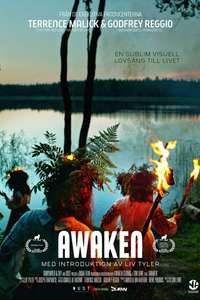 Awaken - Poster