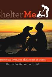 Shelter Me