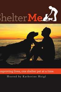 Shelter Me - Poster