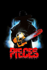 Pieces - Poster