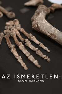 Unknown: Cave of Bones - Posters