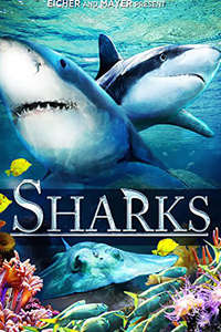 Sharks (in 3D) - Poster