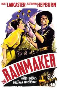 The Rainmaker - Poster