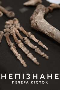Unknown: Cave of Bones - Posters