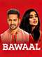 Bawaal