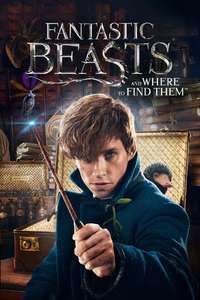 Fantastic Beasts and Where to Find Them - Posters