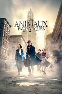 Fantastic Beasts and Where to Find Them - Posters