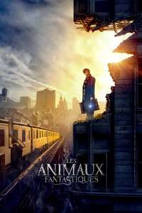 Fantastic Beasts and Where to Find Them - Posters