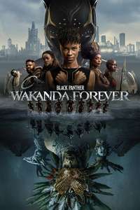 Black Panther 2 - Posters
