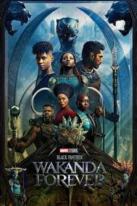 Black Panther 2 - Posters