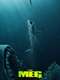 The Meg