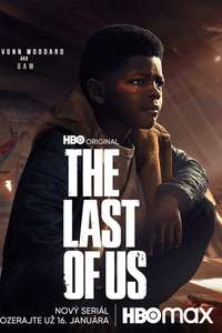 The Last of Us - Posters