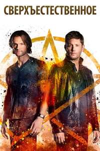 Season 12 - Backdrop
