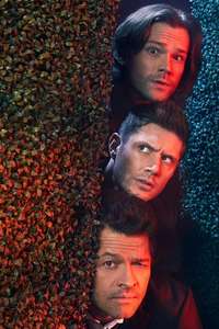 Season 12 - Backdrop