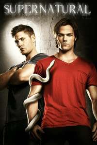 Season 12 - Backdrop