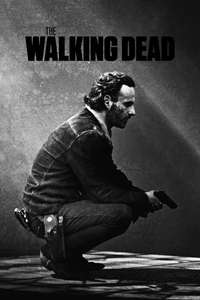 The Walking Dead - Posters
