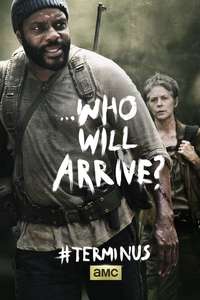 The Walking Dead - Posters