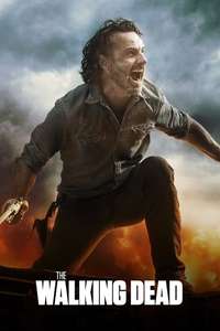 The Walking Dead - Posters