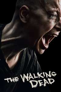 The Walking Dead - Posters