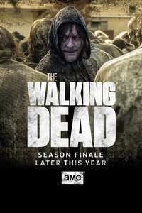 The Walking Dead - Posters