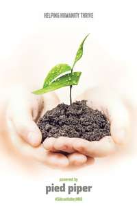 Silicon Valley - Posters