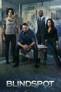 Blindspot - Posters