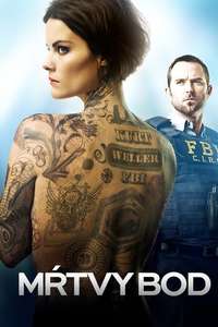 Blindspot - Posters