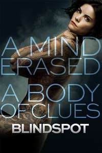 Blindspot - Posters