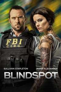 Blindspot - Posters