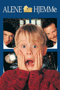 Home Alone - Posters