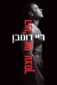Ray Donovan - Posters