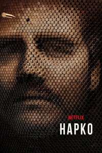 Narcos - Posters
