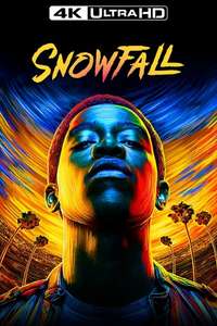 Snowfall - Posters