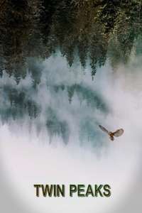 Twin Peaks - Posters