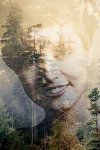Twin Peaks - Posters