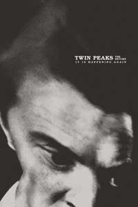 Twin Peaks - Posters