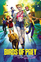 Birds of Prey (And the Fantabulous Emancipation of One Harley Quinn)