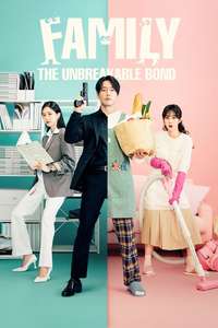 Family: The Unbreakable Bond - Posters