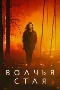 Wolf Pack - Posters