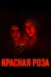 Red Rose - Posters