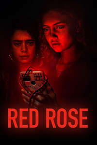 Red Rose - Posters