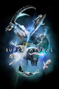 Super/Natural - Posters